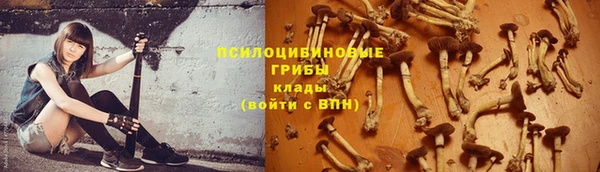 стафф Осинники